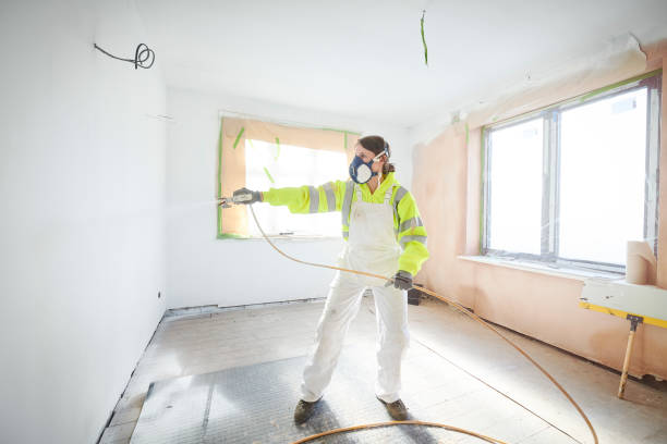 Best Mold Damage Restoration  in Sweet Home, AR