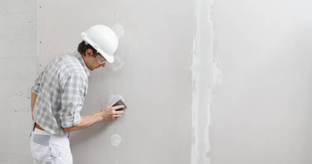 Best Mold Odor Removal Services  in Sweet Home, AR