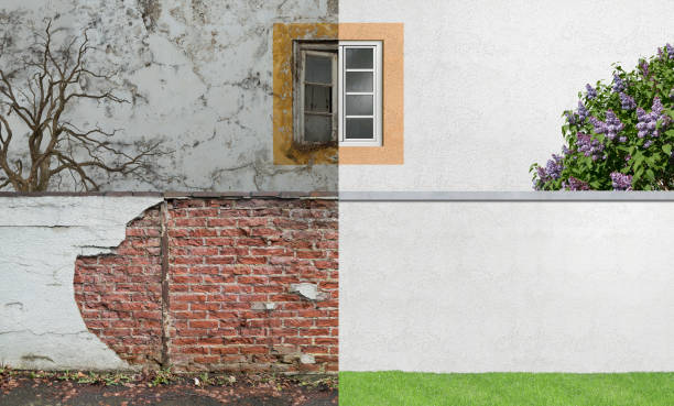 Professional Mold Removal in Sweet Home, AR