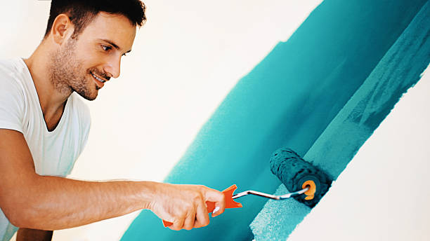 Best Basement Mold Removal  in Sweet Home, AR